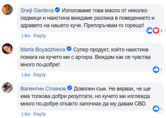 Мнения на собственици на домашни любимци за CBD за кучета