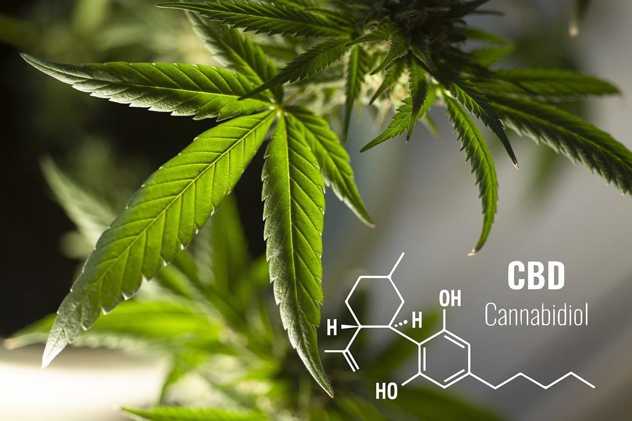 Какво е CBD?