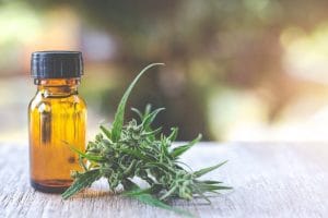THC масло и CBD масло - Разлики и Всичко, което трябва да знаете
