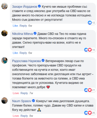 CBD масло за кучета мнения
